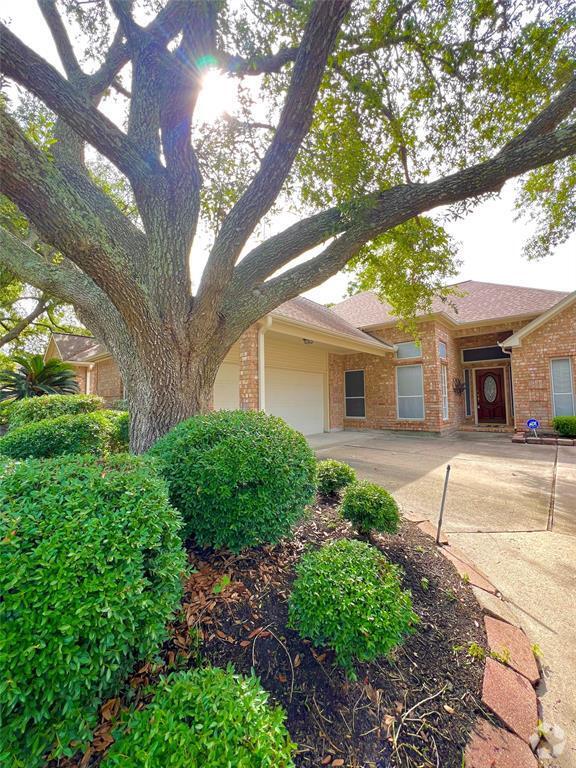 Building Photo - 4306 Shady Pine Dr