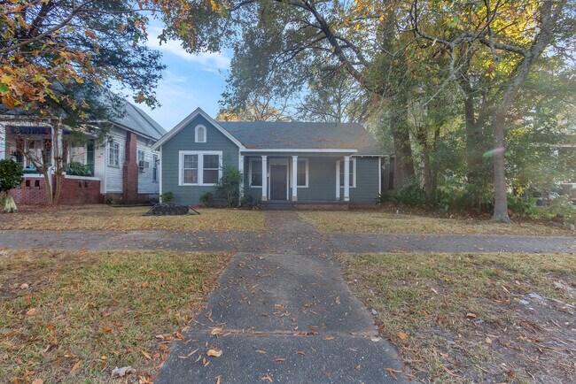 Vista de calle - 458 Burton Ave