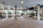 This expansive fitness center is thoughtfully designed to accommodate a full range of workout needs within a single, open floor plan. The space features a neutral, patterned carpet throughout and is anchored by structural columns that define distinct workout zones without disrupting the overall flow of the room. Large windows line the perimeter walls, flooding the interior with natural light and providing views of the surrounding greenery, creating an inviting and energizing atmosphere.

The cardio zone is well-stocked with treadmills, ellipticals, and stationary bikes from TRUE Fitness, all positioned along the windowed walls to maximize natural light during workouts. Multiple wall-mounted flat-screen TVs are positioned throughout the space for entertainment. A dedicated strength training area features a comprehensive rack of dumbbells displayed on mirrored walls, along with weight benches and a variety of selectorized cable and resistance machines for targeted muscle training.

An adjoining studio room with mirrored walls and a ballet barre offers space for stretching, yoga, or group fitness activities. A bold blue accent wall near the entrance holds stability balls in multiple sizes and a water fountain station with a bottle-filling feature, adding both color and functionality. Recessed lighting supplements the natural light throughout, ensuring the space remains well-lit at all times.