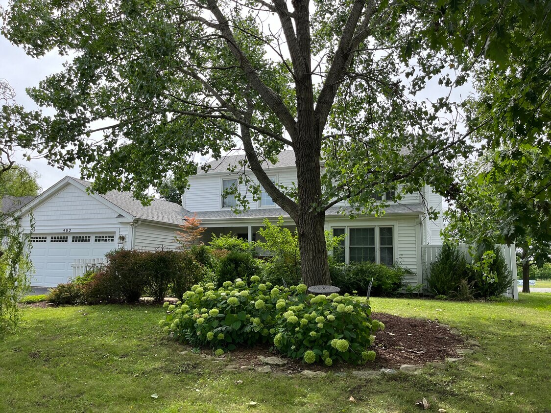 Primary Photo - 402 Magnolia Dr