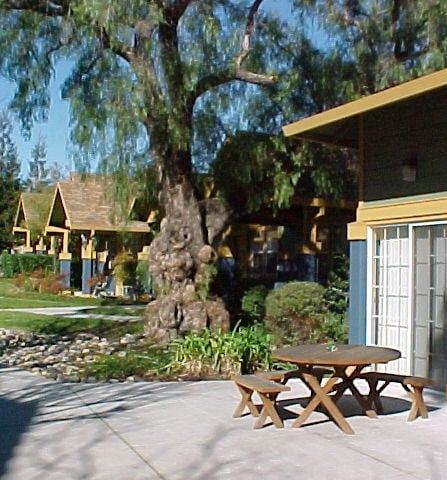 Foto del edificio - Milagro Independent Living