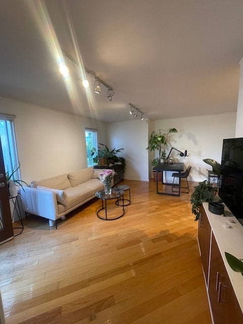 Building Photo - 1224 Poinsettia Dr
