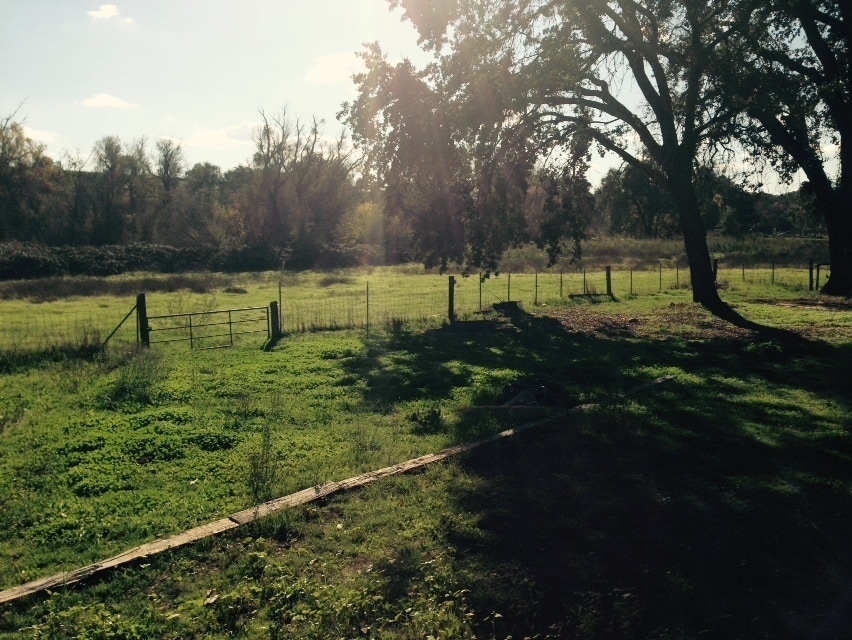 Building Photo - Country Living in Oakdale, CA