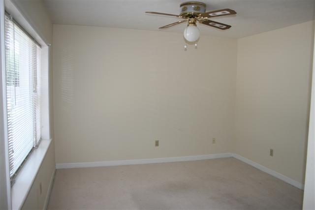 Building Photo - Cute, Cozy and Convenient!