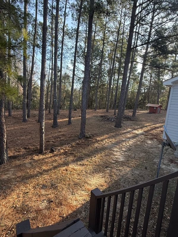 Building Photo - 224 Pinewood St