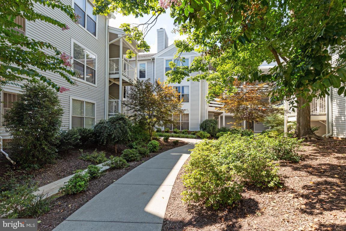 10302 Appalachian Cir Unit 8201, Oakton, VA 22124 Room for Rent in