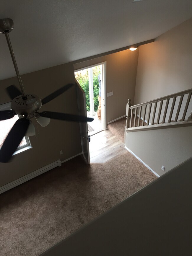 493 David Ct, Fruita, CO 81521 Townhome Rentals in Fruita CO