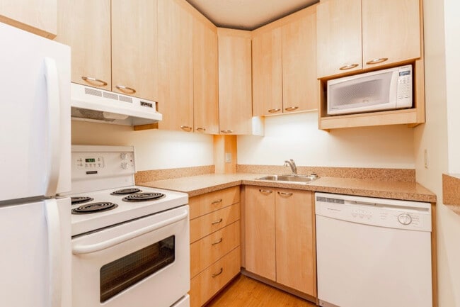 Building Photo - The New Mount Royal Apartments