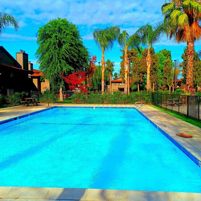Disfrute de piscinas cristalinas - 1190 S Winery Ave