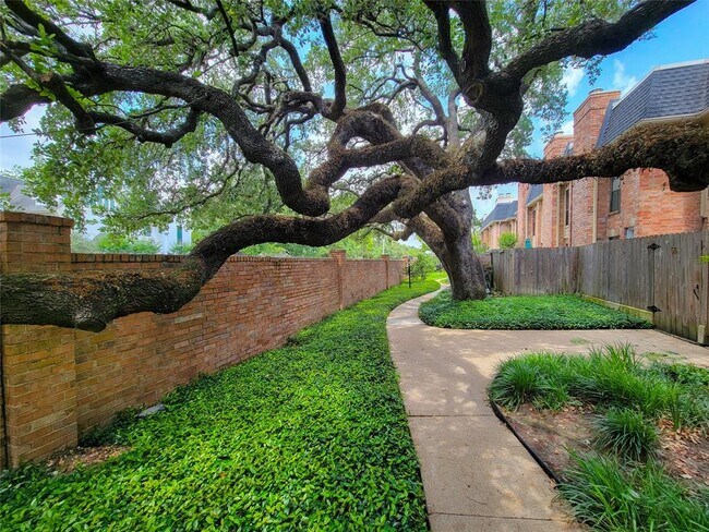 Foto del edificio - 1601 S Shepherd Dr