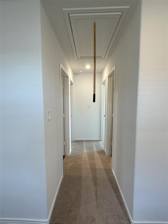 Building Photo - 2420 Fullmoon Dr