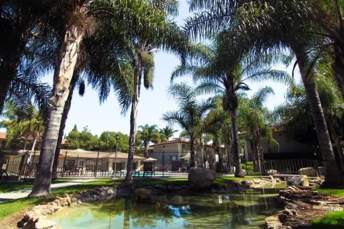 Foto del edificio - Monterra Springs