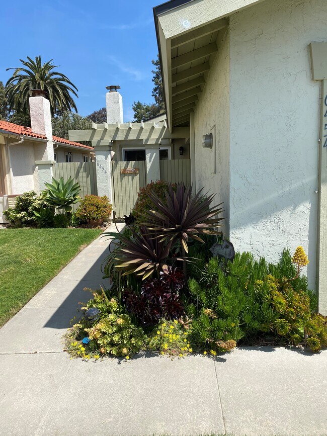 Front Walkway - 6454 Camino Del Parque