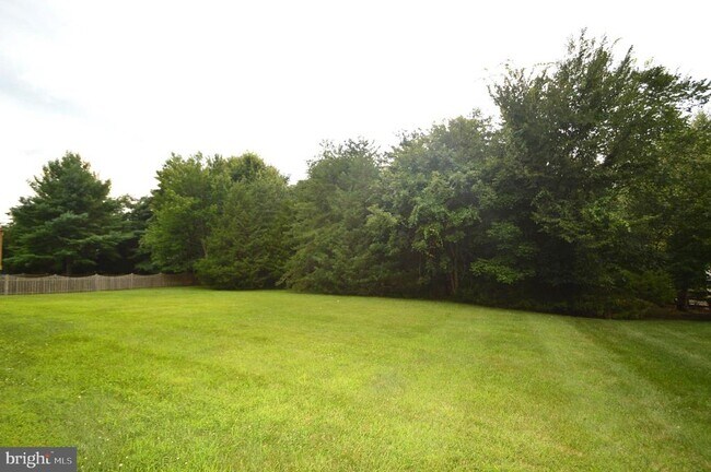 Foto del edificio - 25461 Lemon Tree Pl