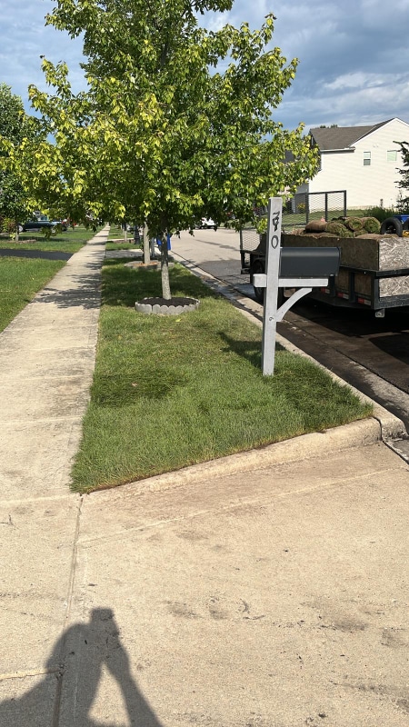 Foto del edificio - 270 McElhinny Ln