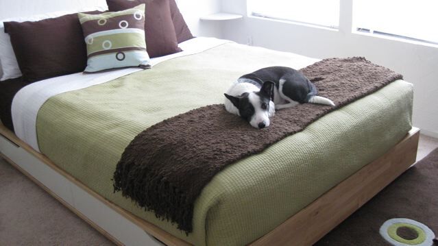 Building Photo - 1441 Lincoln Ave