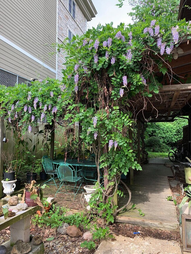 Wisteria covered lanai, shared seating with tables and chairs - 802 N College Ave