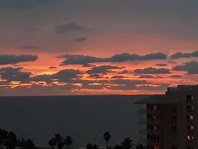 Foto del edificio - 1200 Hibiscus Ave