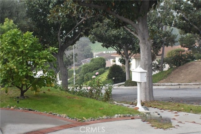 Foto del edificio - 431 La Terraza St