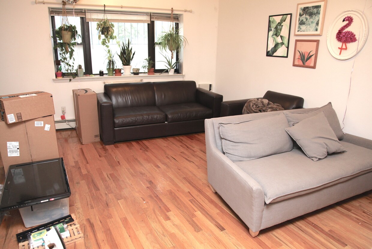 Primary Photo - 262 Skillman Ave