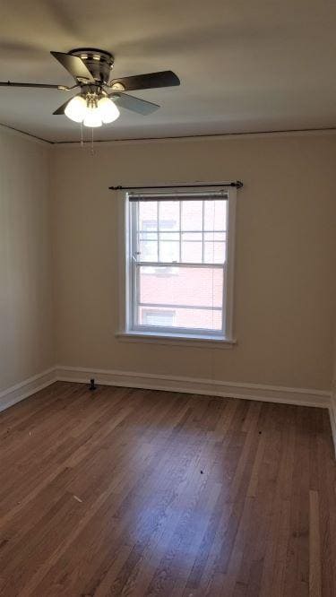 Building Photo - 222 N Oak Park Ave