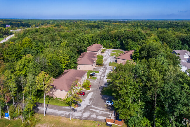 Aerial Photo - Snowshoe Estates