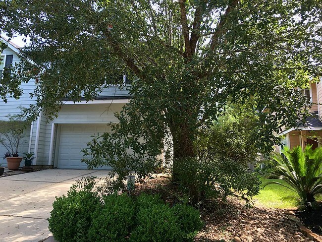 Building Photo - 66 S Camellia Grove Cir