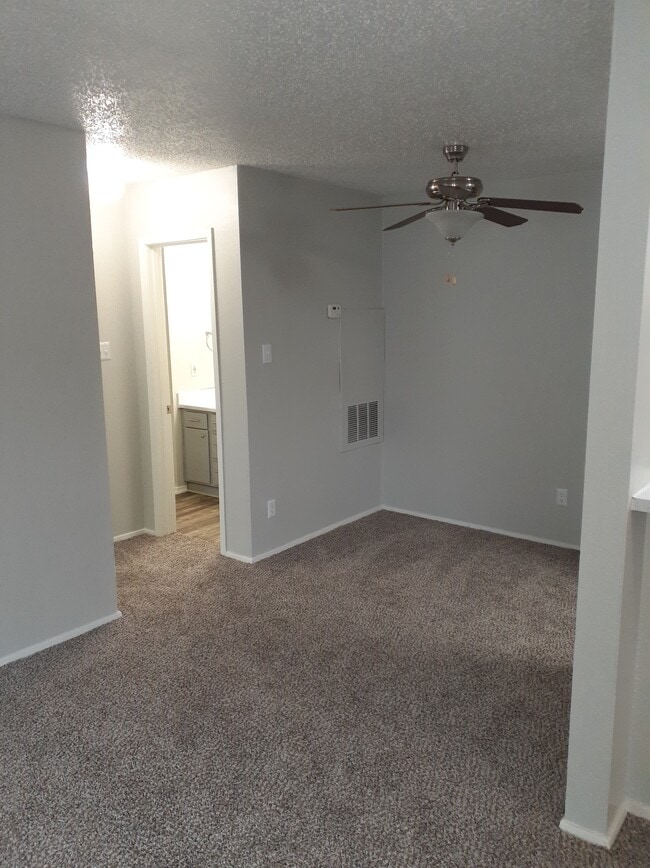 Two Tone Paint with Plush Carpeting - City Pines Apartment Homes