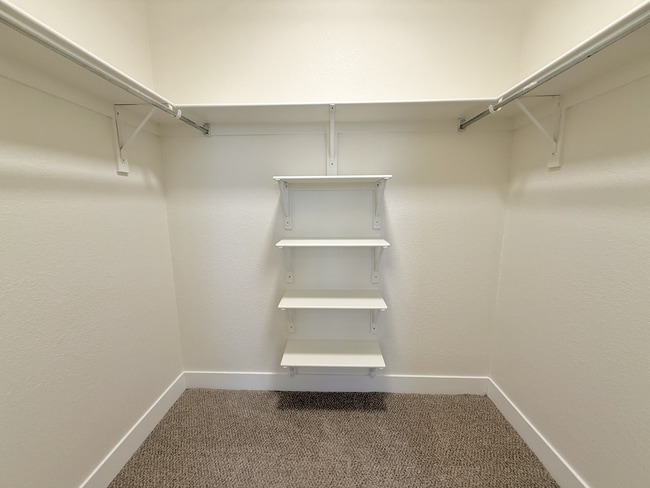 bedroom-walk-in-closet-high-line-pointe-1x1-1281-212-torreys-peak-3-13-2026(1).JPG - High Line Pointe