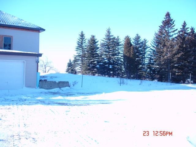 Trees to right of building - 9 Stewart St