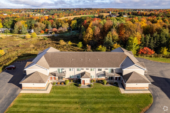 Aerial Photo - Towering Pines