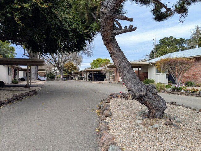 Building Photo - 7327 Starward Dr
