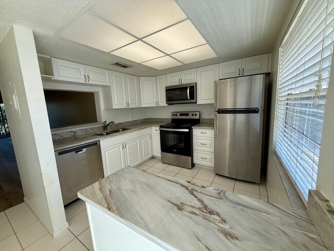 Building Photo - Dunedin 55+ 2/1 Condo