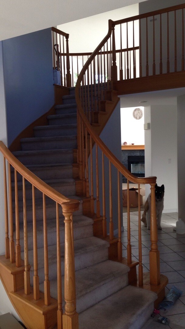 Foto del edificio - Beautiful 2 story custom home in Stoneridge