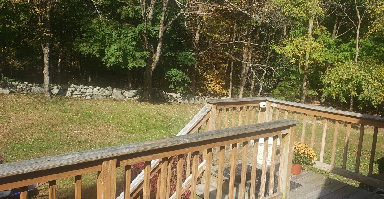 View from deck - 14 Union St