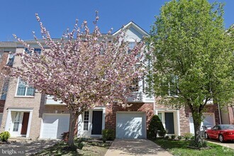 Building Photo - 3641 Bracknell Dr