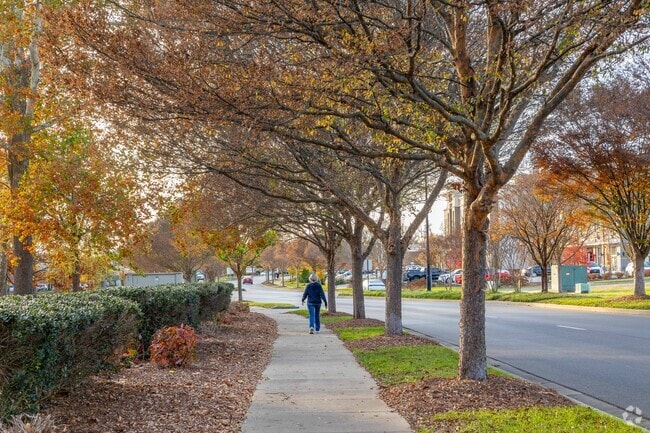 Hendersonville is a safe and walkable city with many sidewalks and tree lined streets.