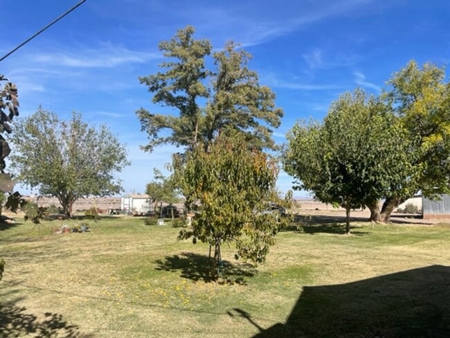 Foto del edificio - Ranch Style Farm