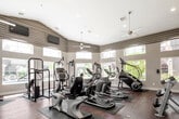 This fitness center offers a spacious, single-floor layout designed to support a full range of workout routines. The room features soaring vaulted ceilings with recessed lighting and multiple ceiling fans, creating a bright and well-ventilated environment. Large arched windows wrap around the perimeter, flooding the interior with natural light and offering views of the surrounding outdoor greenery and pool area.

The flooring throughout is rich hardwood, providing a clean, durable surface beneath the equipment. A striking herringbone-patterned wood accent wall serves as a notable design focal point, adding a warm, contemporary touch to the space.

Cardio equipment is well-represented, with multiple treadmills, elliptical trainers, a StairMaster, and stationary bikes arranged across the floor on protective rubber mats. Strength training options include a multi-station cable machine and a rack of free weights, accommodating both resistance and functional training needs. Wall-mounted mirrors along one side visually expand the room and allow users to monitor their form.

Mounted televisions provide entertainment options during workouts, while the abundance of windows ensures the space remains airy and energizing. Overall, the fitness center combines practical functionality with thoughtful design elements for a comfortable workout experience.