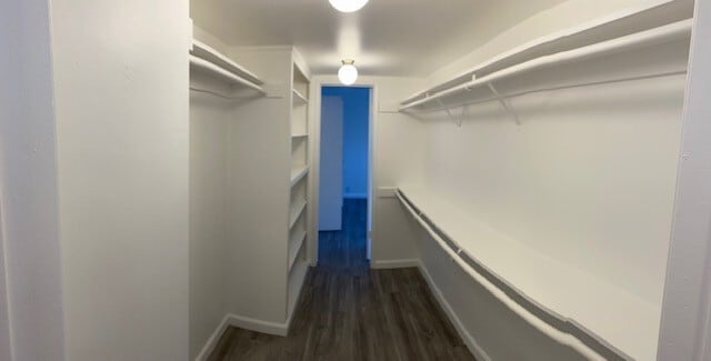 SHARED WALK IN CLOSET - Woodley Plaza