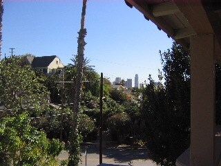 View from front door patio - 1509 Portia St
