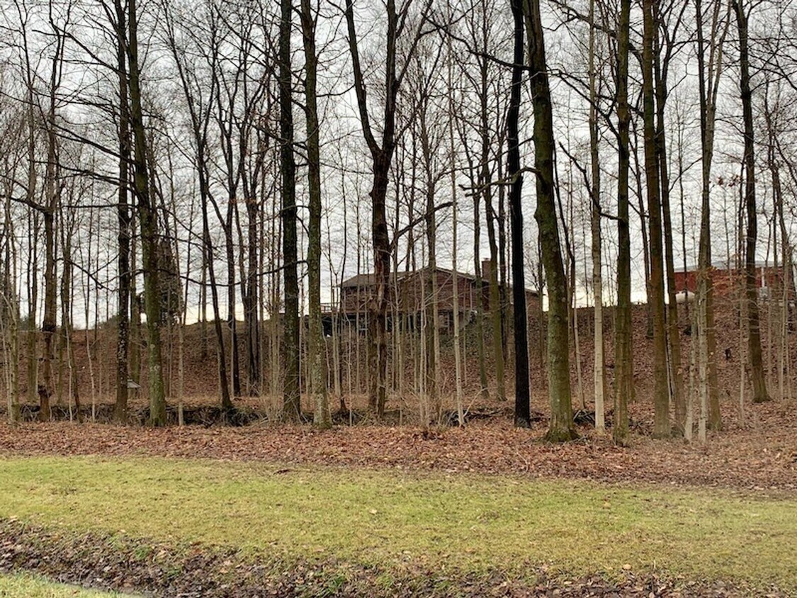 Foto principal - Country setting, split level, Mapleton Sch...