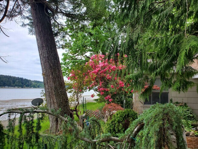 Building Photo - 2 Bedroom older home on the water