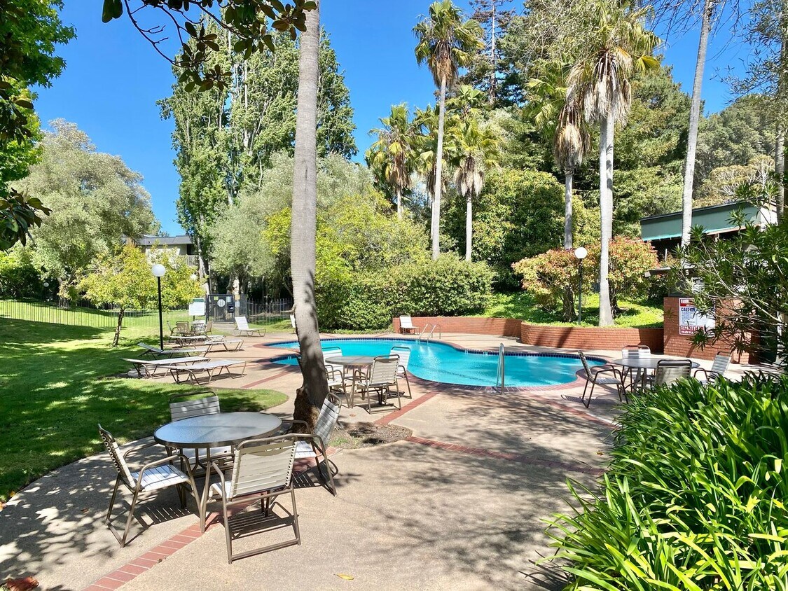 Foto principal - Spacious Top-Floor STUDIO in Beautiful Shelter Creek - WATER & GARBAGE Included!