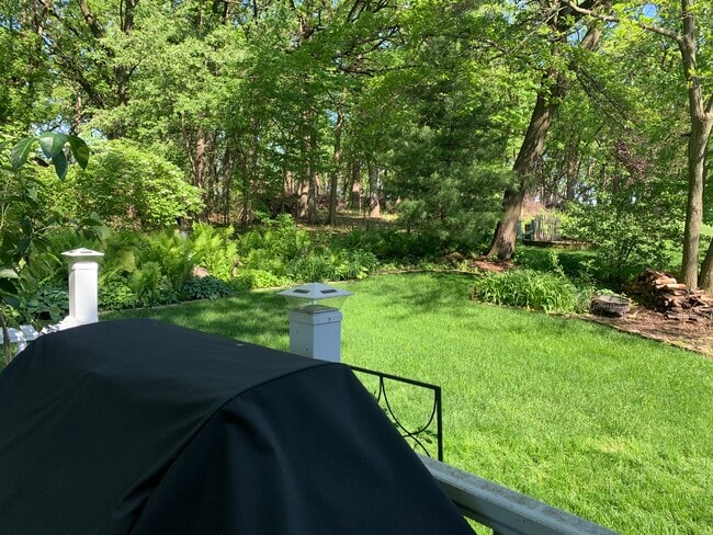 Backyard - 2714 Wentworth Dr