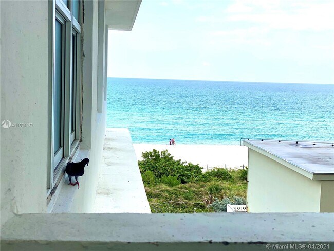 Building Photo - 5601 Collins Ave