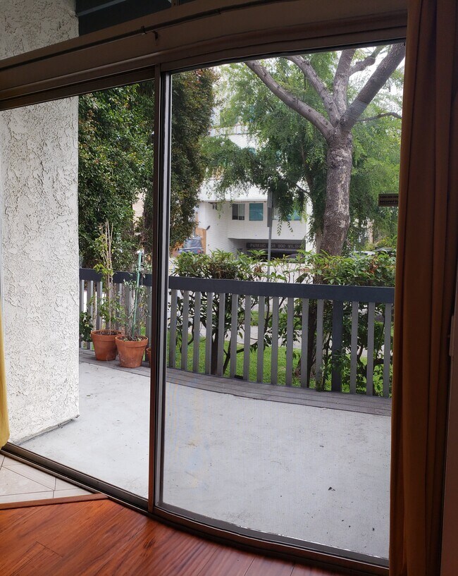 Patio de la planta baja - 1218 9th St