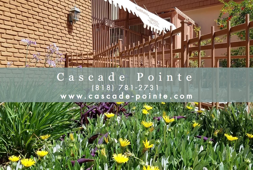 Foto principal - Cascade Pointe Apartments