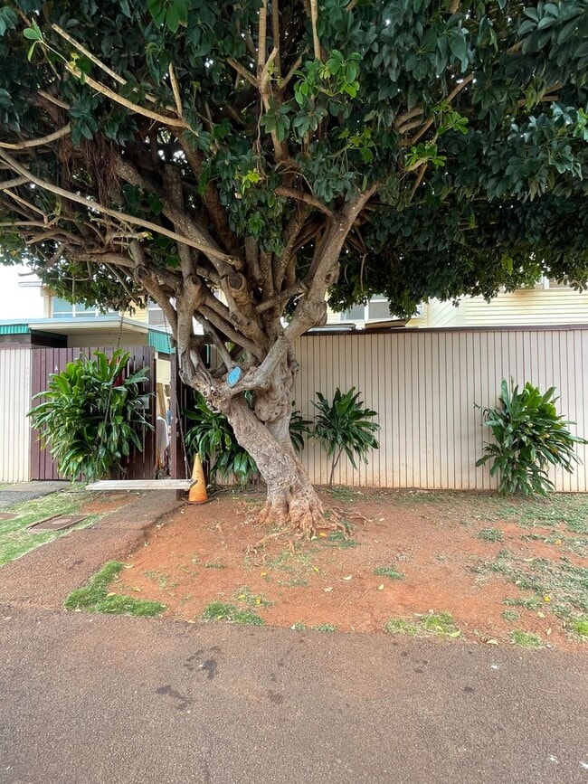 Building Photo - 4/1.5 $1950