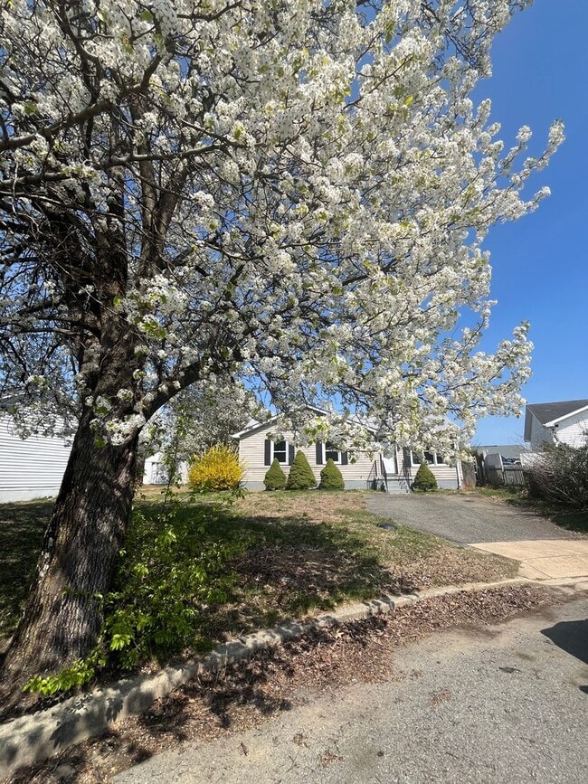 Foto del edificio - Lovely Rambler w/ 3 bedrooms